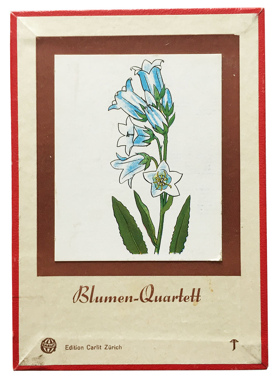 blumen_quartett Blumen Quartett