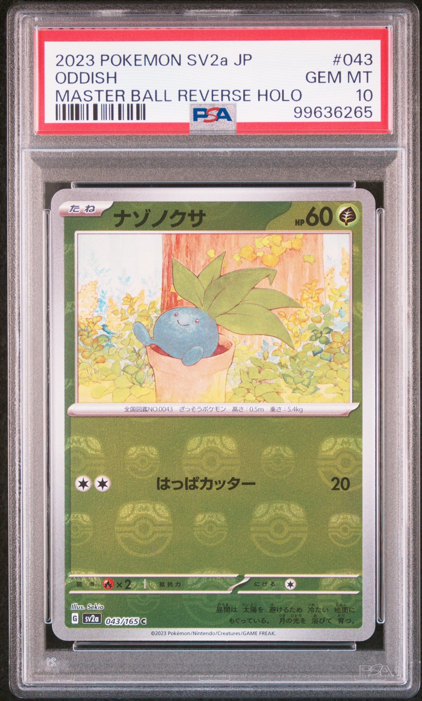 2023 POKEMON JAPANESE SV2A-POKEMON 151 #043 ODDISH MASTER BALL REVERSE HOLO - PSA 10 GEM-MT - Pokémon 2023 POKEMON JAPANESE SV2A-POKEMON 151 #043 ODDISH MASTER BALL REVERSE HOLO - PSA 10 GEM-MT - Pokémon