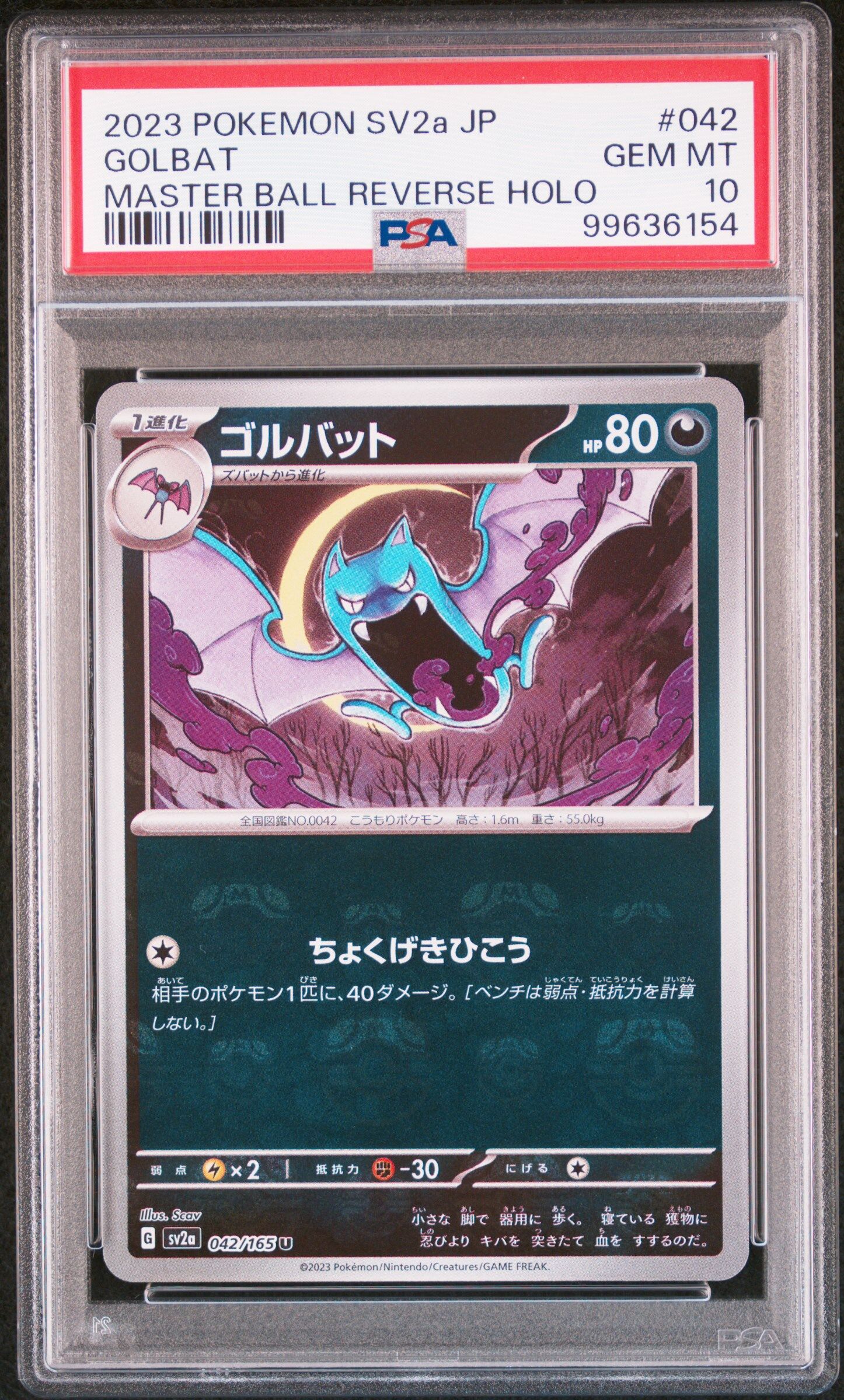 2023 POKEMON JAPANESE SV2A-POKEMON 151 #042 GOLBAT MASTER BALL REVERSE HOLO - PSA 10 GEM-MT - Pokémon 2023 POKEMON JAPANESE SV2A-POKEMON 151 #042 GOLBAT MASTER BALL REVERSE HOLO - PSA 10 GEM-MT - Pokémon