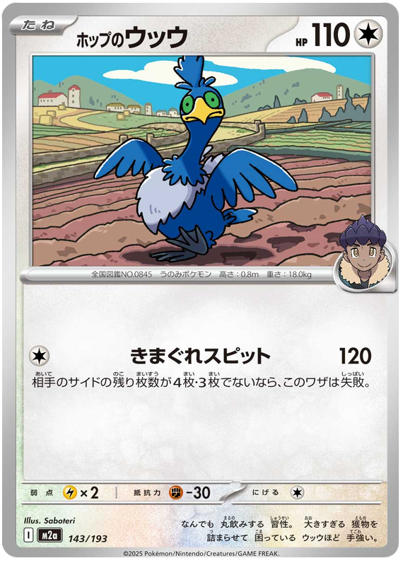 Hop's Cramorant - M2a 143/193 - JP