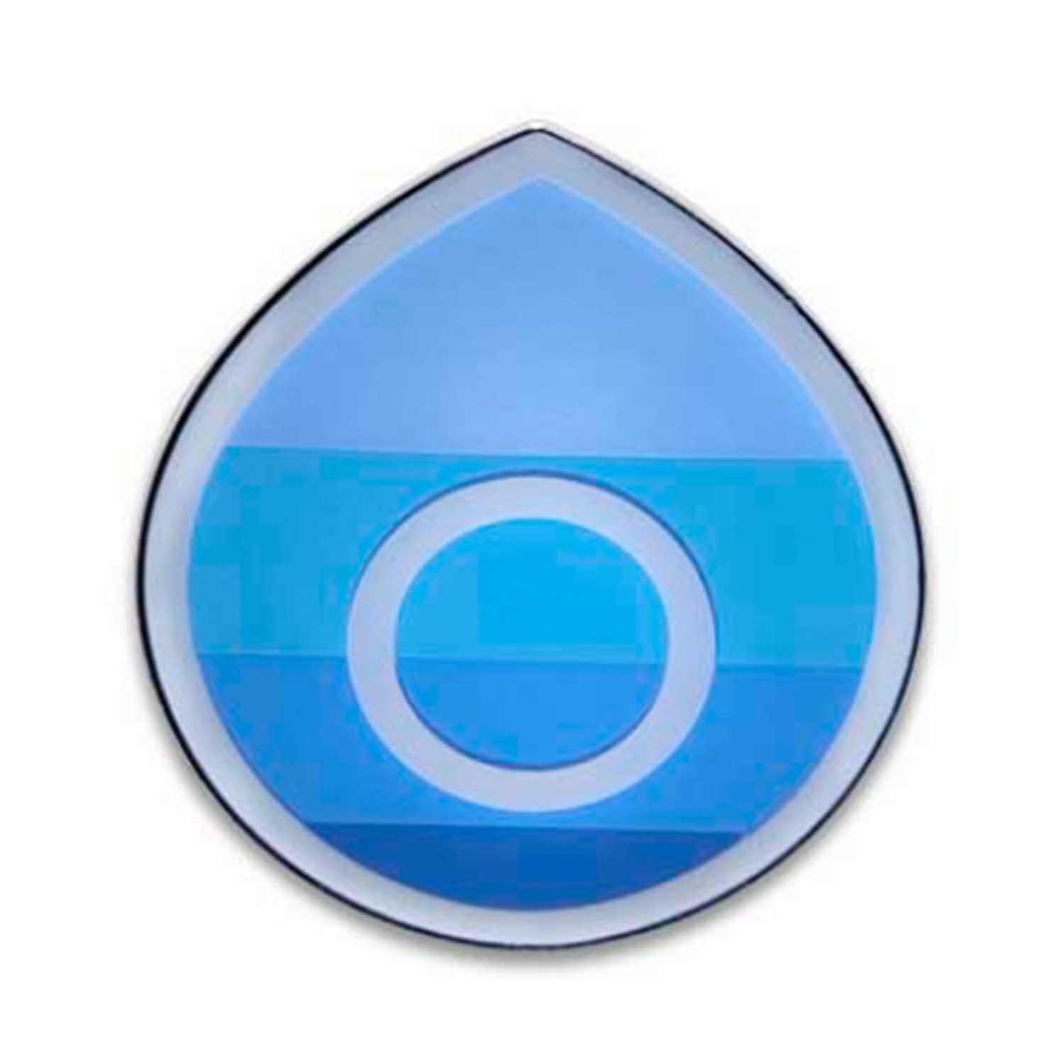 Pokémon Champion's Path Pin Collection Hulbury Gym - EN
