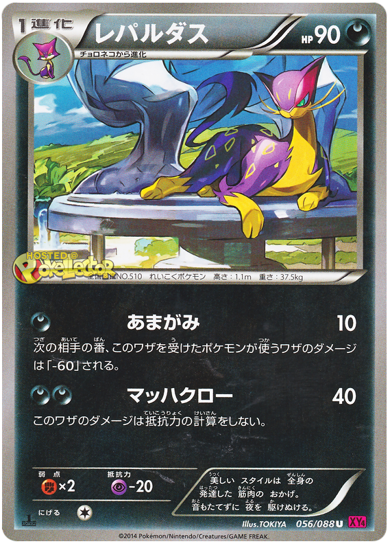 Liepard - XY4 056/088 - JP