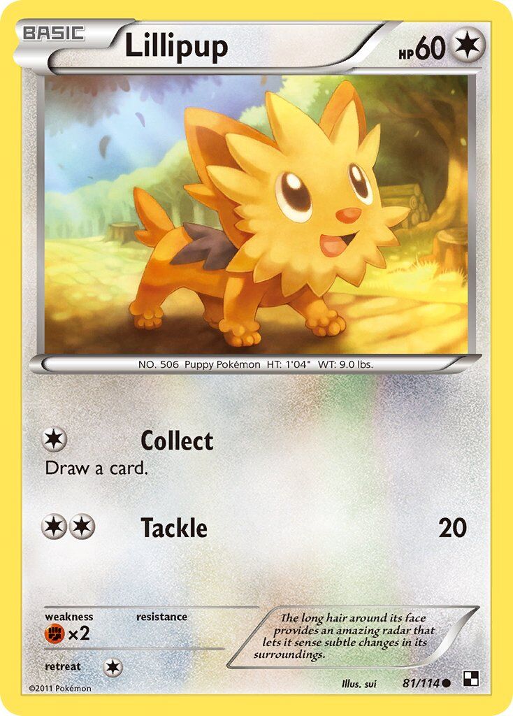 Lillipup - 81/115 - EN