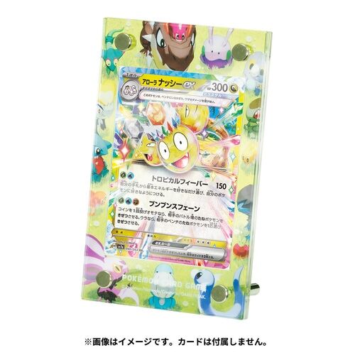 Display Frame Dragon Friends Display Frame Dragon Friends