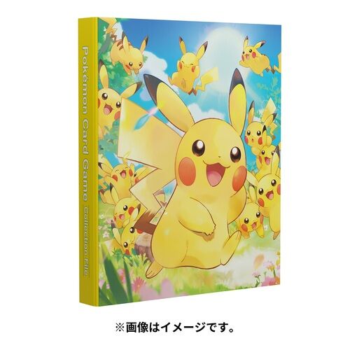 Pikachu große Sammlung Ordner 
