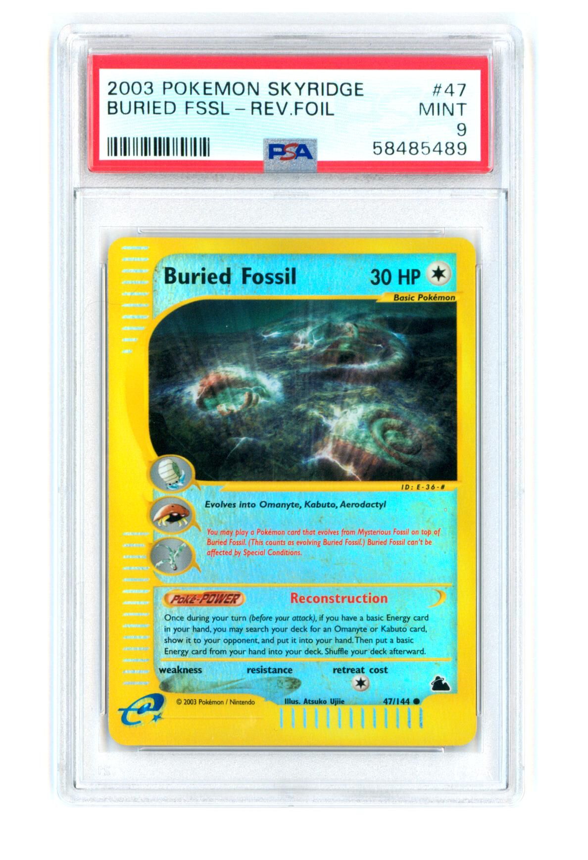 buried-fossil-47-144-skyridge-reverse-holo-psa-9-mint-pokemon-58485489 Buried Fossil 47/144 - Skyridge - Reverse Holo - PSA 9 MINT - Pokémon