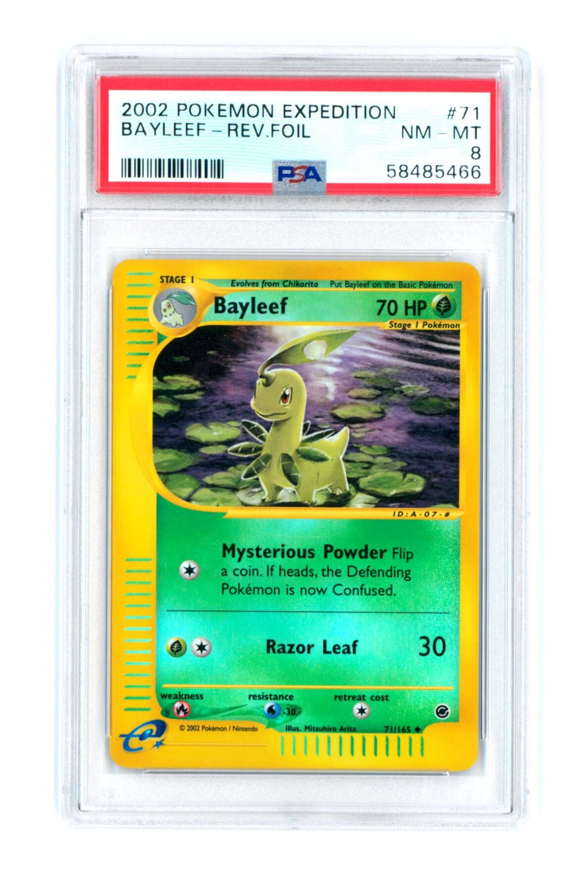 bayleef-71-165-expedition-reverse-holo-psa-8-nm-mt-pokemon-58485466 Bayleef 71/165 - Expedition - Reverse Holo - PSA 8 NM-MT - Pokémon
