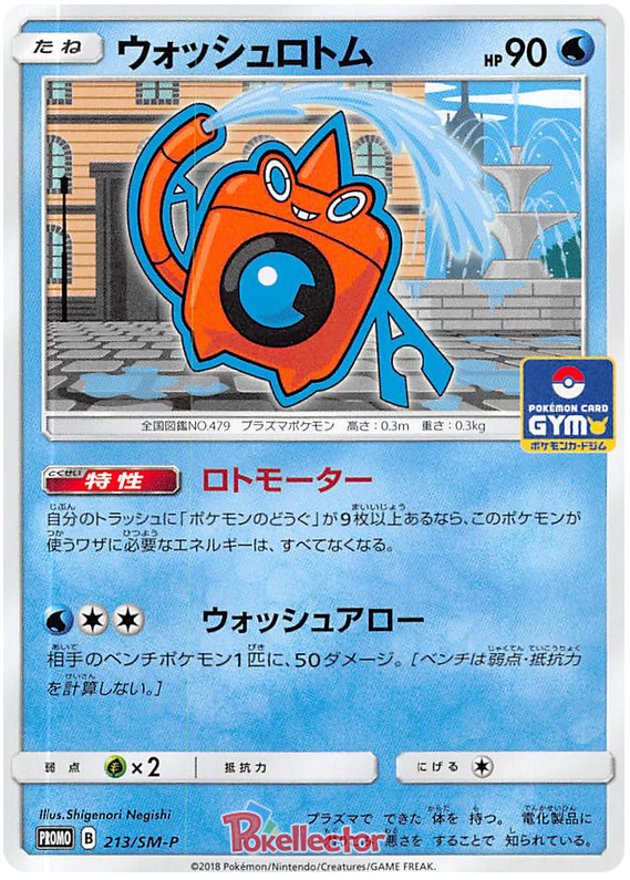 Wash Rotom - SM-P 213 - JP