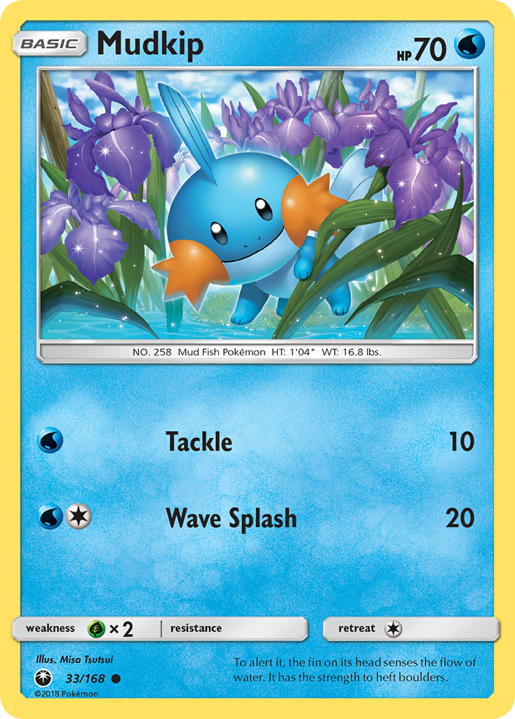 Mudkip - 33/168 - EN Mudkip - 33/168 - EN