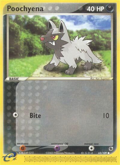 Poochyena - 63/109 - EN