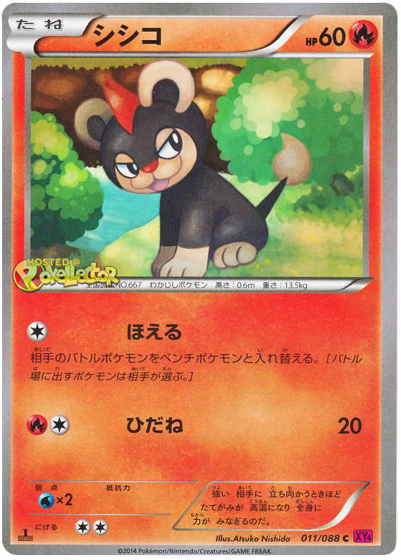 Litleo - XY4 011/088 - JP