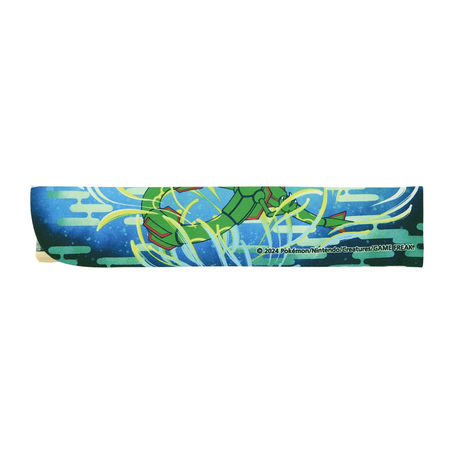 Fan Rayquaza