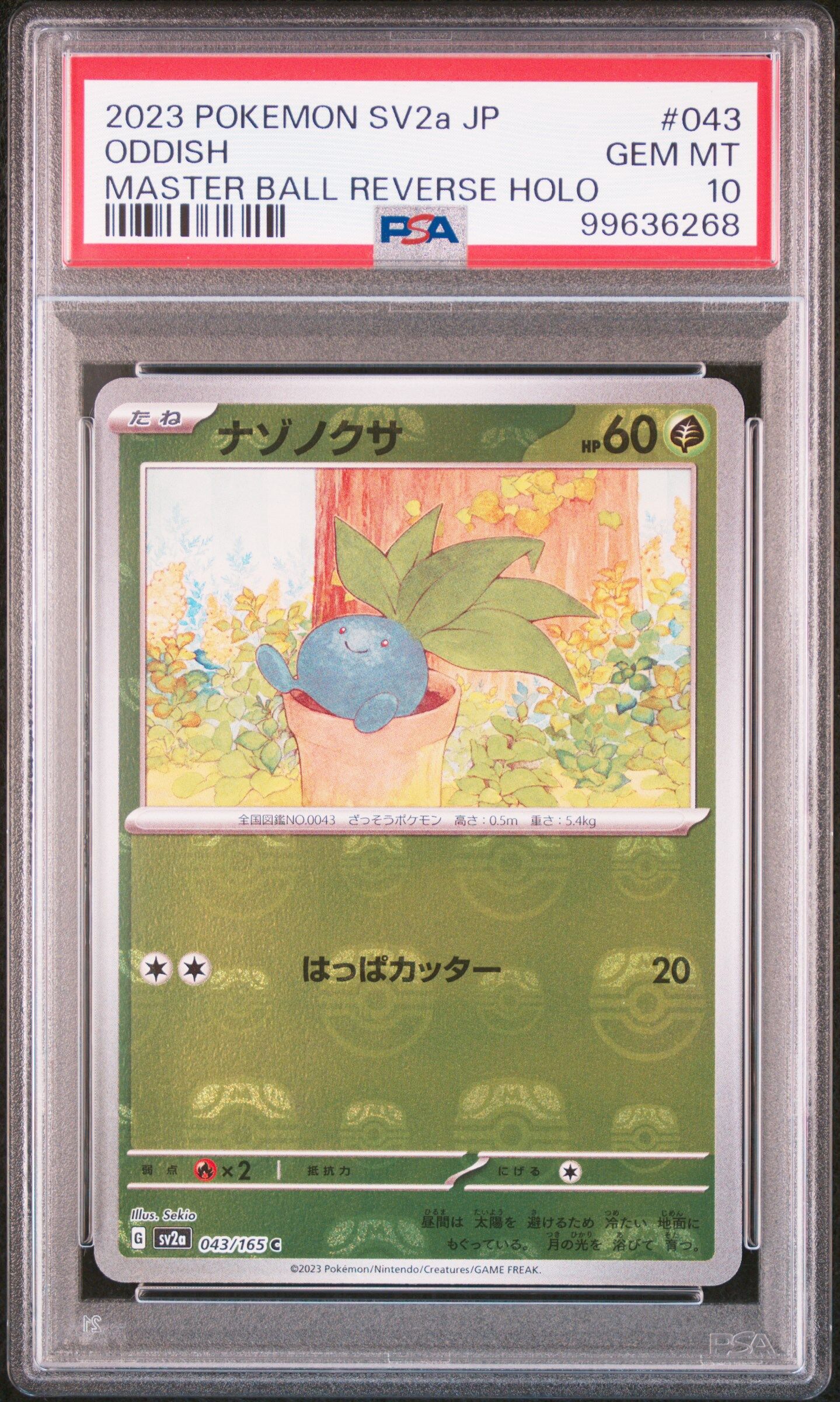 2023 POKEMON JAPANESE SV2A-POKEMON 151 #043 ODDISH MASTER BALL REVERSE HOLO - PSA 10 GEM-MT - Pokémon 2023 POKEMON JAPANESE SV2A-POKEMON 151 #043 ODDISH MASTER BALL REVERSE HOLO - PSA 10 GEM-MT - Pokémon