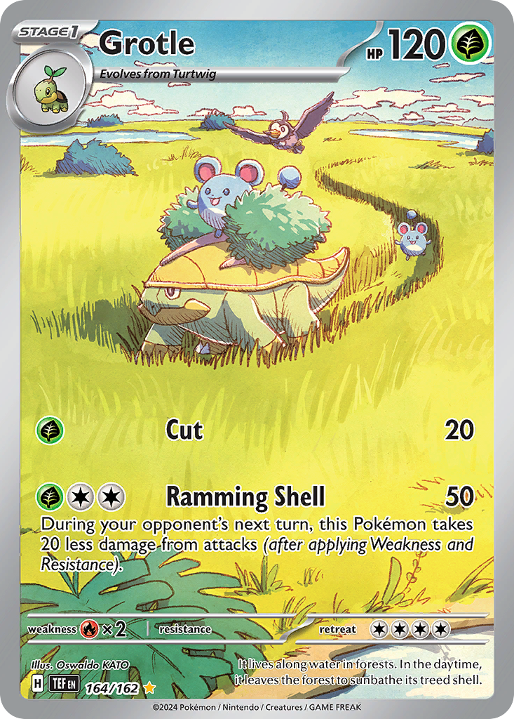 Grotle - 164/162 - EN