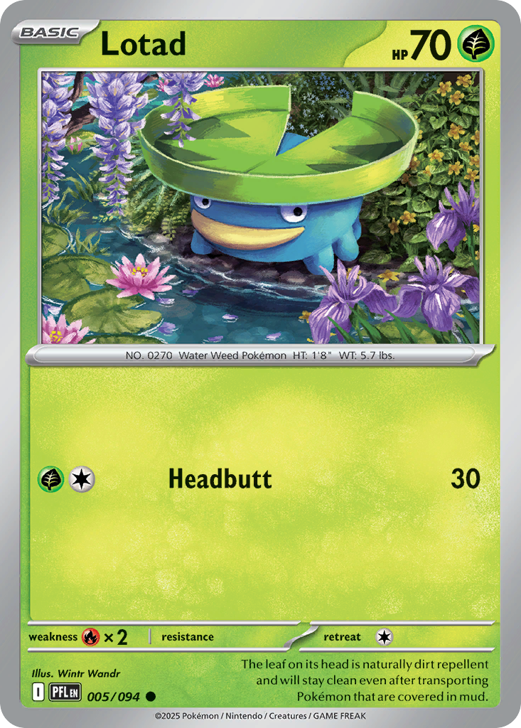 Lotad - 005/094 - EN