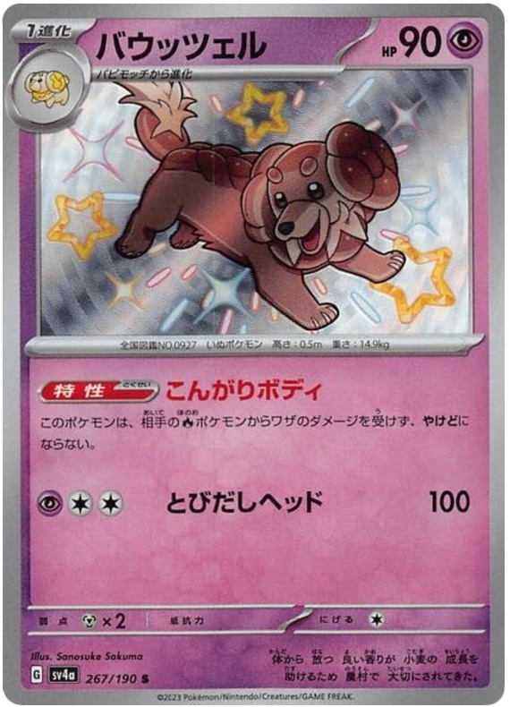 Dachsbun - sv4a 267/190 - JP