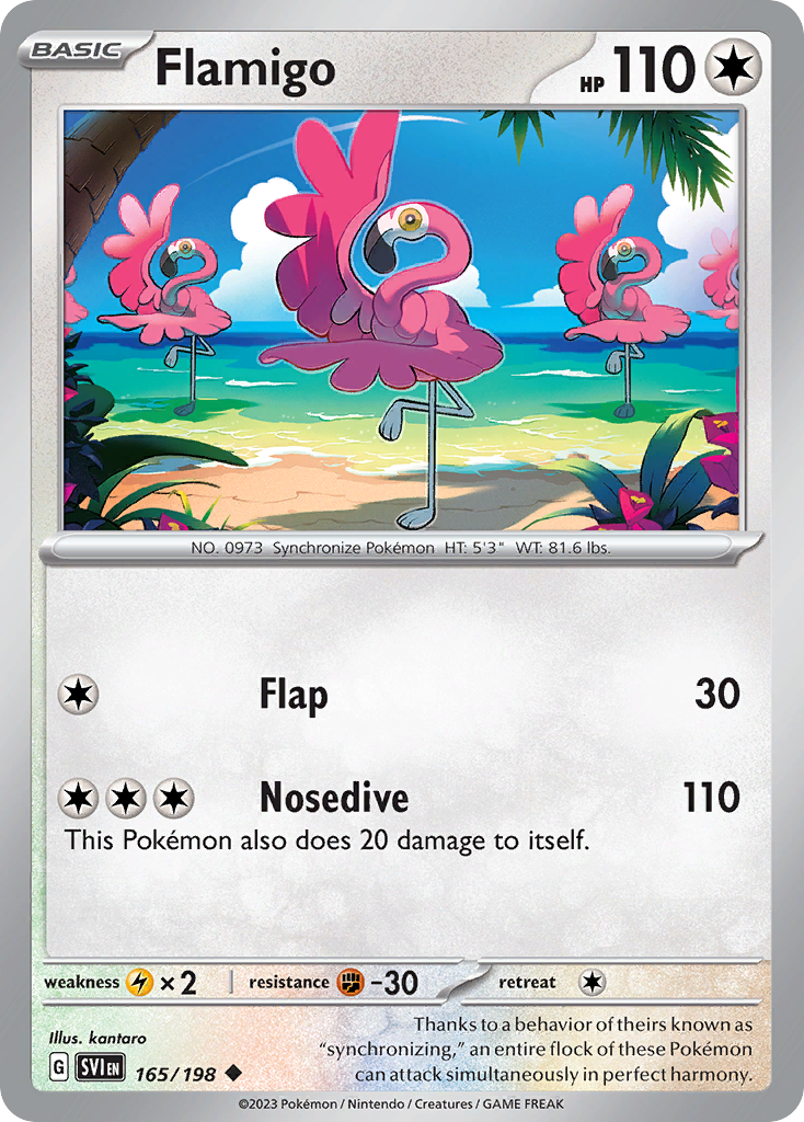 Flamigo - 165/198 - EN Flamigo - 165/198 - EN