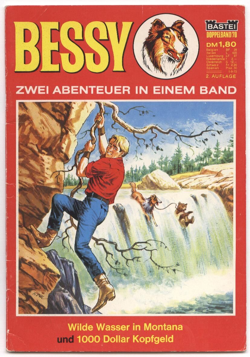 Bessy Doppelband #70