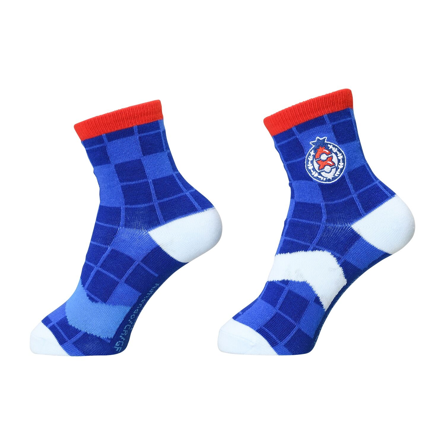 Blueberry Academy Pokémon-Socken (23-25cm)