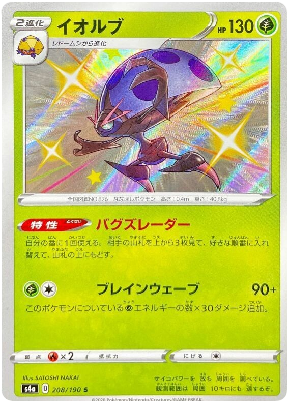 Orbeetle - s4a 208/190 - JP Orbeetle - s4a 208/190 - JP