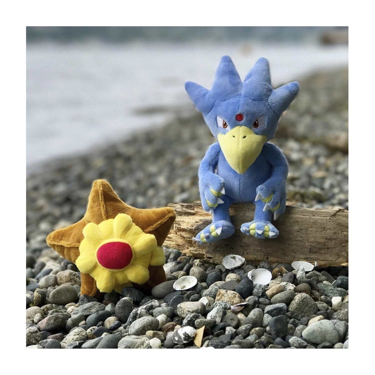 Staryu Sitting Cuties Plush - 14 cm