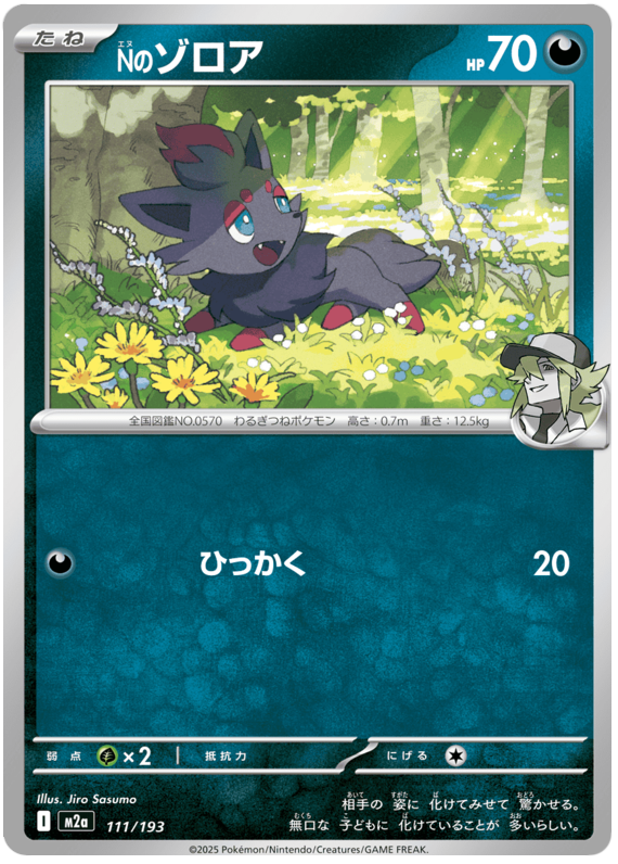 N's Zorua - M2a 111/193 - JP N's Zorua - M2a 111/193 - JP