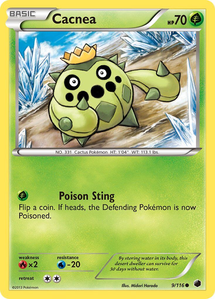 Cacnea - 9/116 - EN