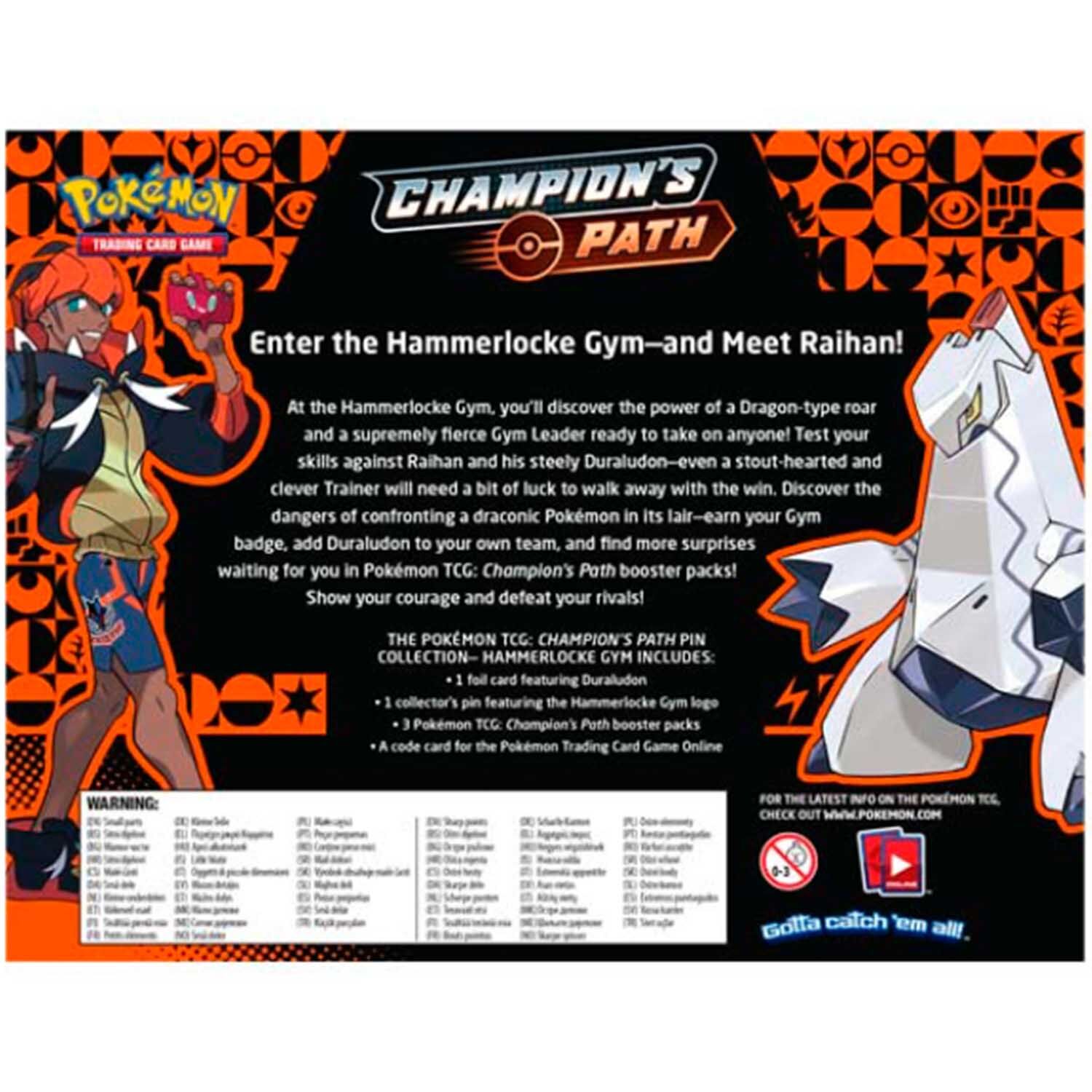 Pokémon Champion's Path Pin Collection Hammerlocke Gym - EN