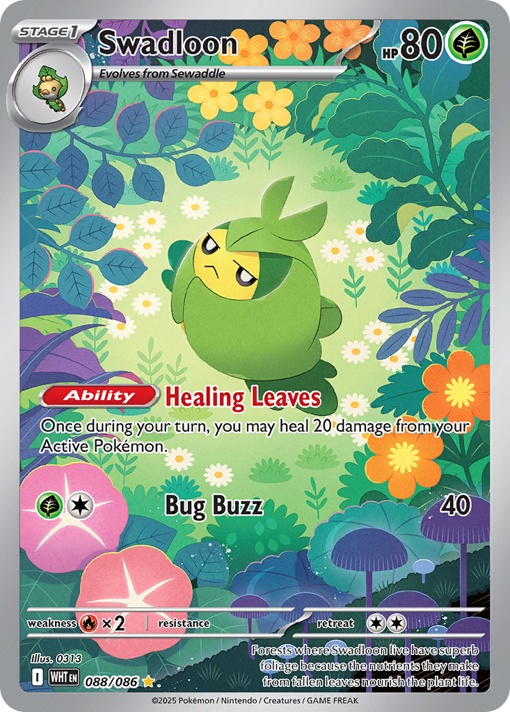 Swadloon - 088/086 - EN Swadloon - 088/086 - EN