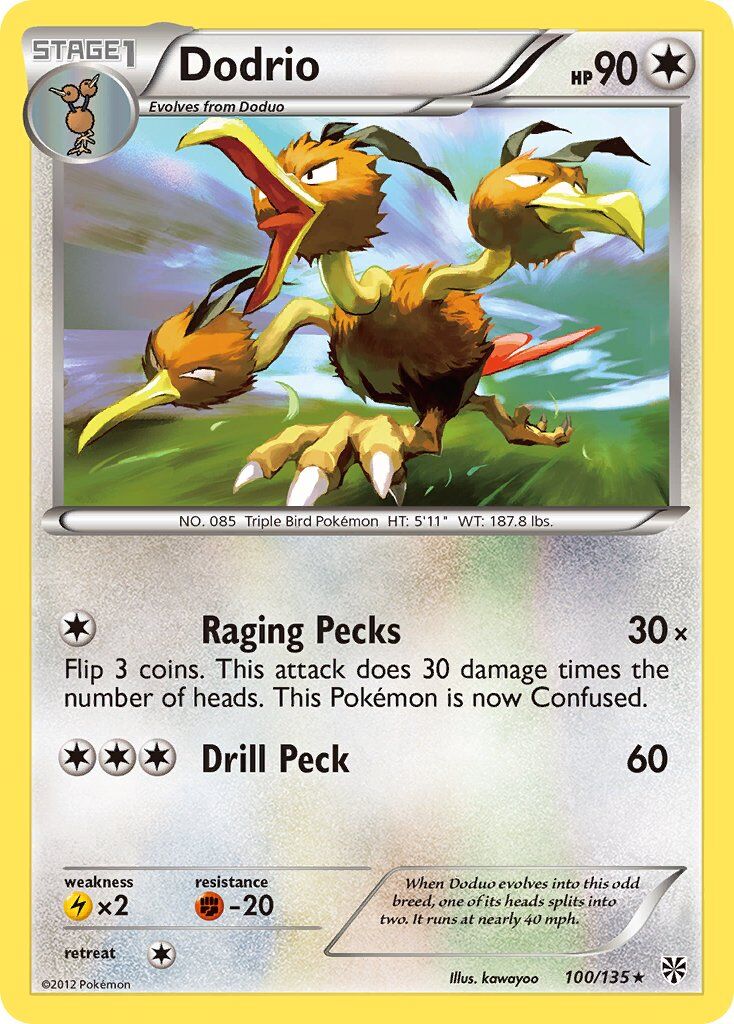 Dodrio - 100/135 - EN Dodrio - 100/135 - EN