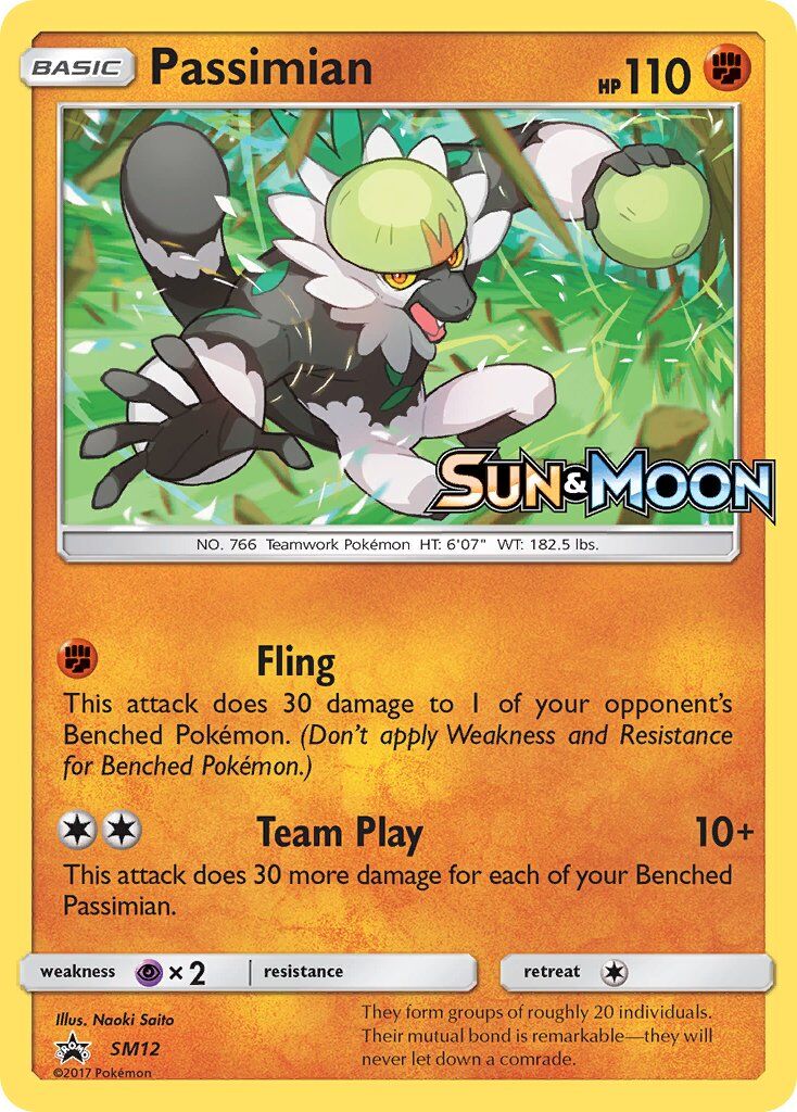 Passimian - SM12/SM12 - EN Passimian - SM12/SM12 - EN