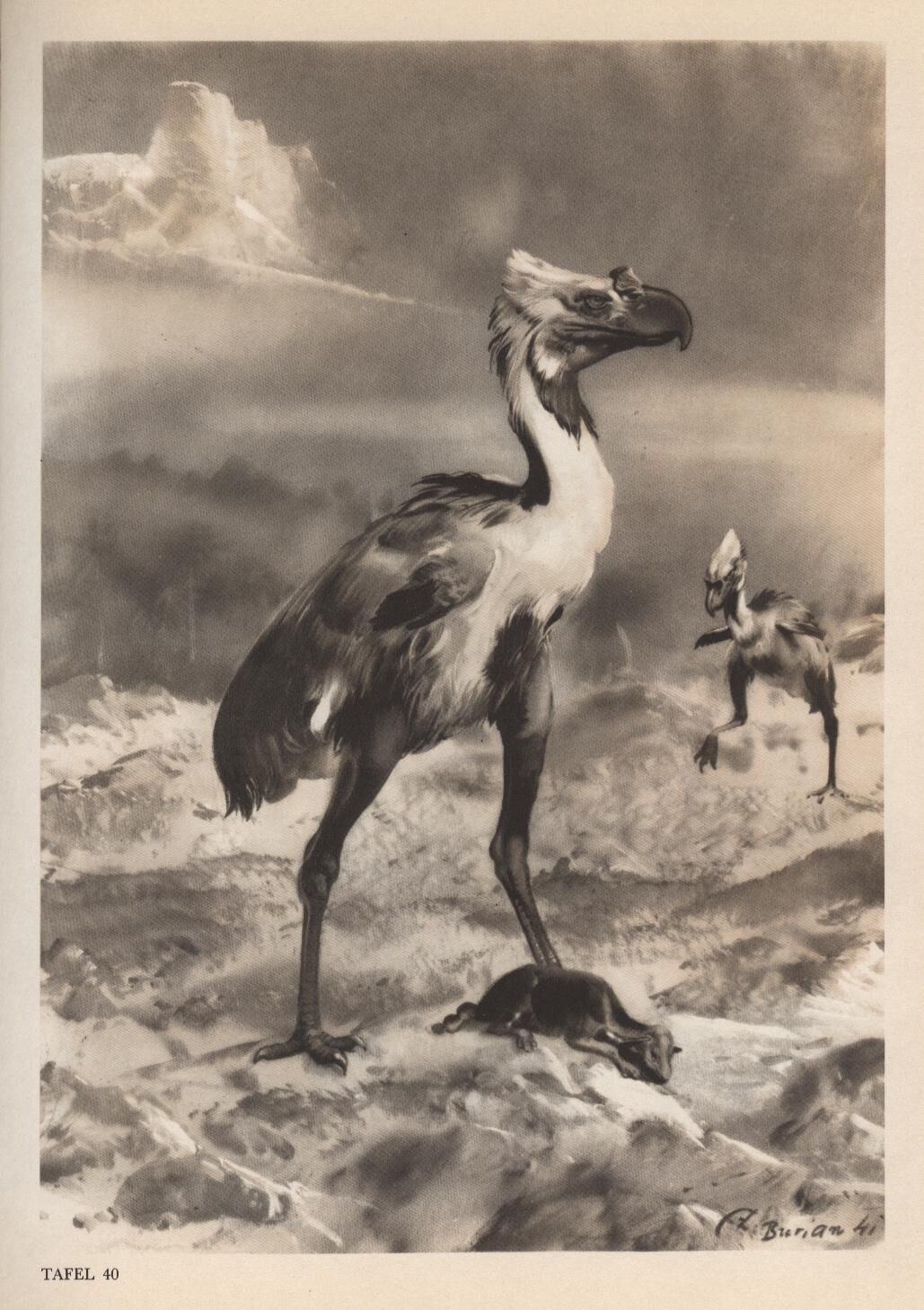 Tiere der Urzeit 1970