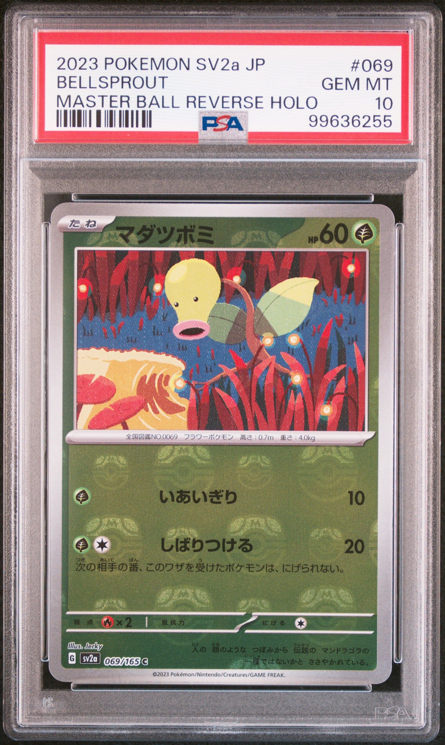2023 POKEMON JAPANESE SV2A-POKEMON 151 #069 BELLSPROUT MASTER BALL REVERSE HOLO - PSA 10 GEM-MT - Pokémon 2023 POKEMON JAPANESE SV2A-POKEMON 151 #069 BELLSPROUT MASTER BALL REVERSE HOLO - PSA 10 GEM-MT - Pokémon