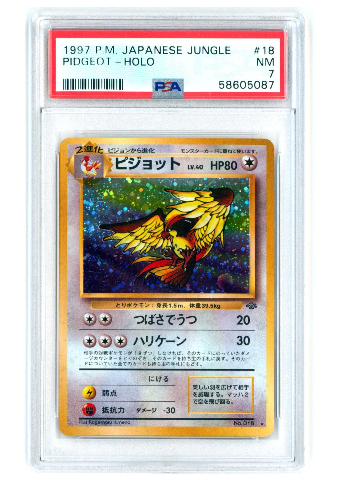 Pidgeot - Japanese Jungle - Holo - PSA 7 NM​ - Pokémon