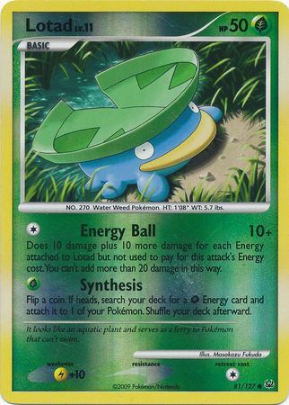 Lotad - 81/127 - Reverse Holo - EN