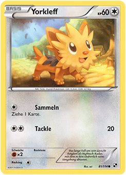Yorkleff - 81/114 - Reverse Holo - Pokémon TCG - Near Mint - DE