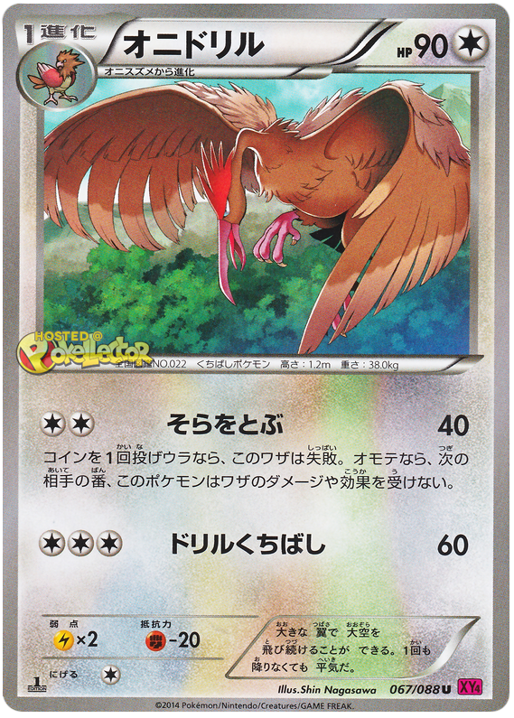 Fearow - XY4 067/088 - JP Fearow - XY4 067/088 - JP