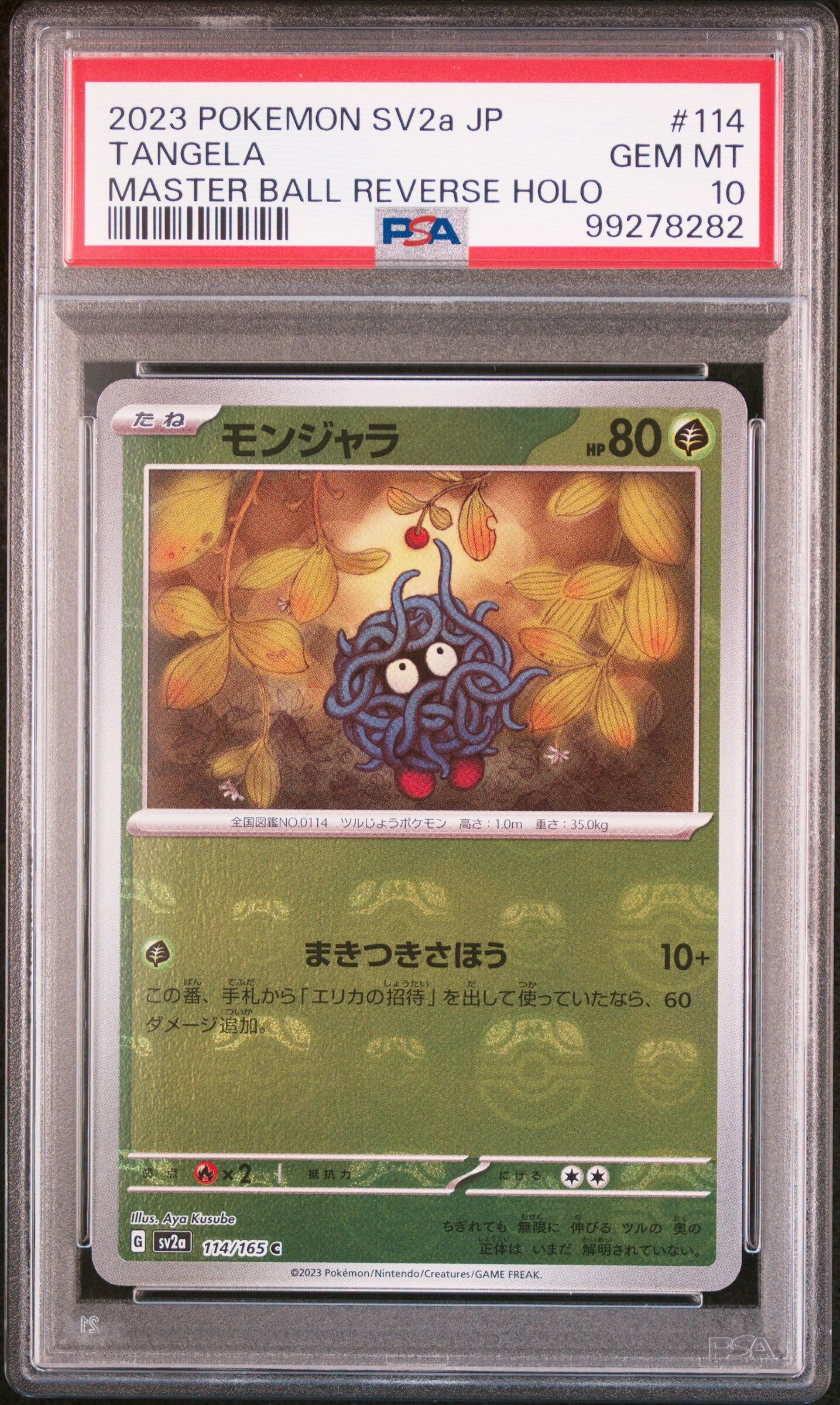 2023 POKEMON JAPANESE SV2A-POKEMON 151 #114 TANGELA MASTER BALL REVERSE HOLO - PSA 10 GEM-MT - Pokémon 2023 POKEMON JAPANESE SV2A-POKEMON 151 #114 TANGELA MASTER BALL REVERSE HOLO - PSA 10 GEM-MT - Pokémon