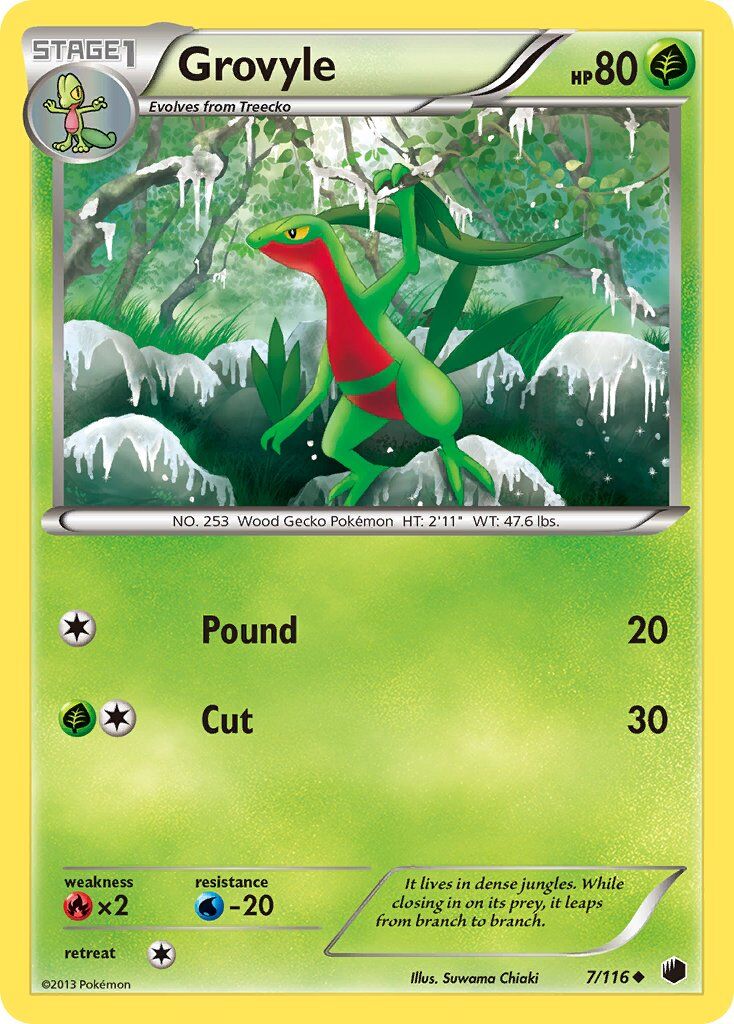Grovyle - 7/116 - EN