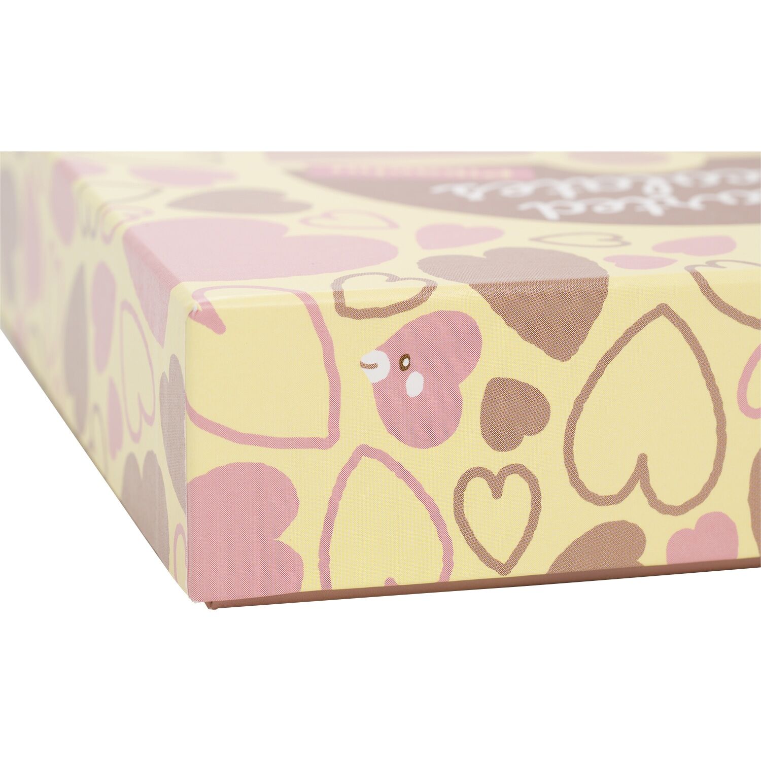 Valentines Pikachu Plus + Morozoff Assorted Chocolate Pikachu