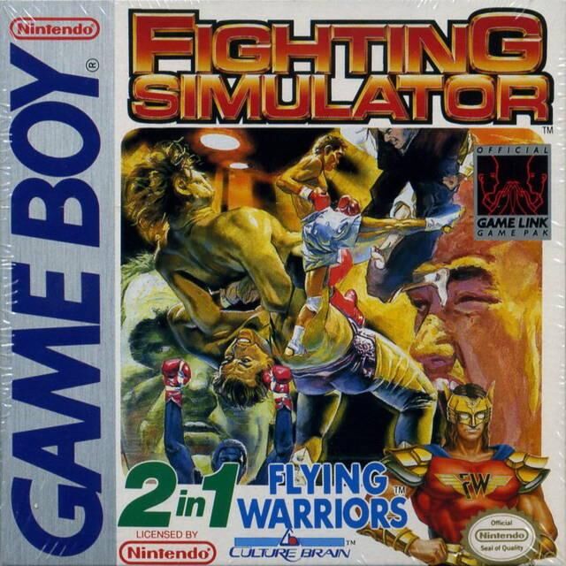 Fighting Simulator: 2-in-1 Flying Warriors - Game Boy - DE