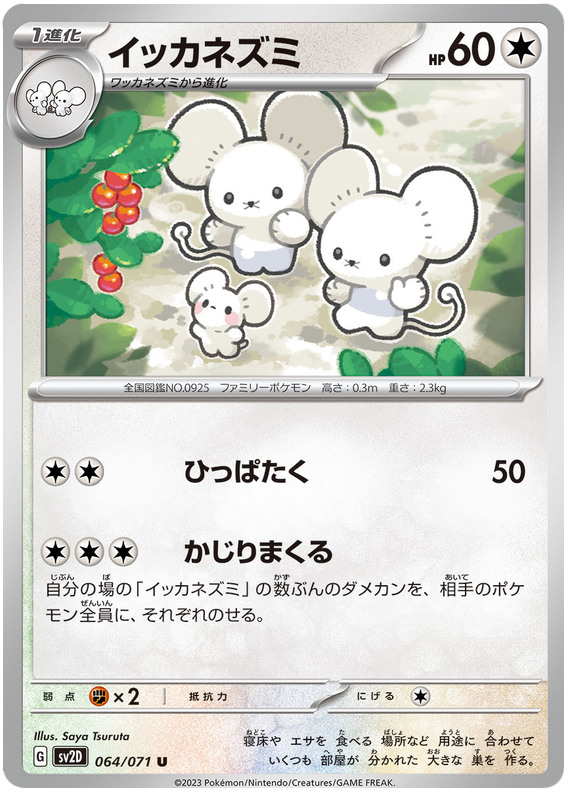 Maushold - sv2D 064/71 - JP