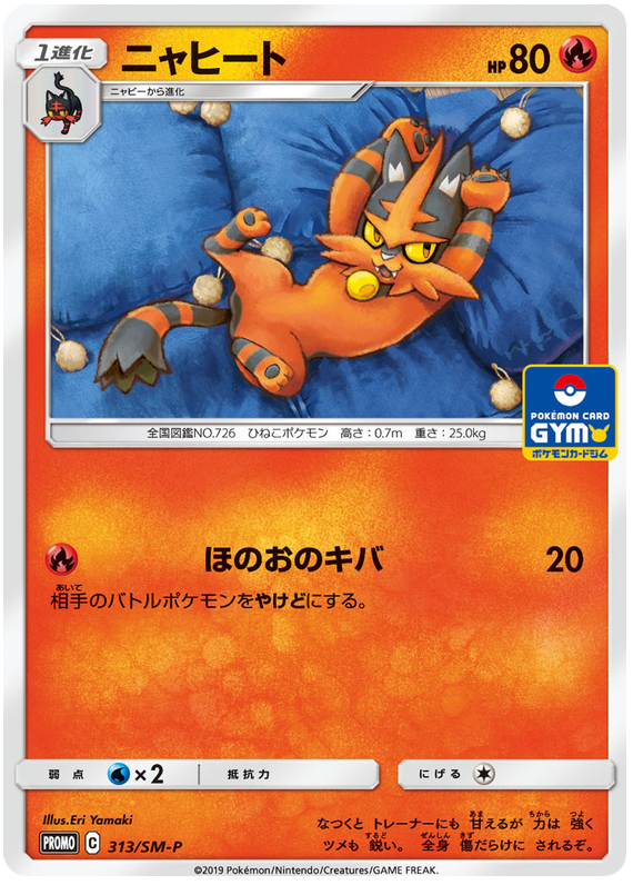 Torracat - SM-P 313 - JP Torracat - SM-P 313 - JP