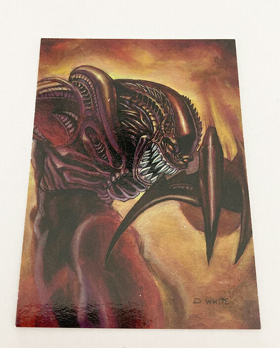 Painted Cow Trading Card Set