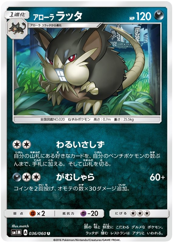 Alolan Raticate - sm1M 036/060 - JP