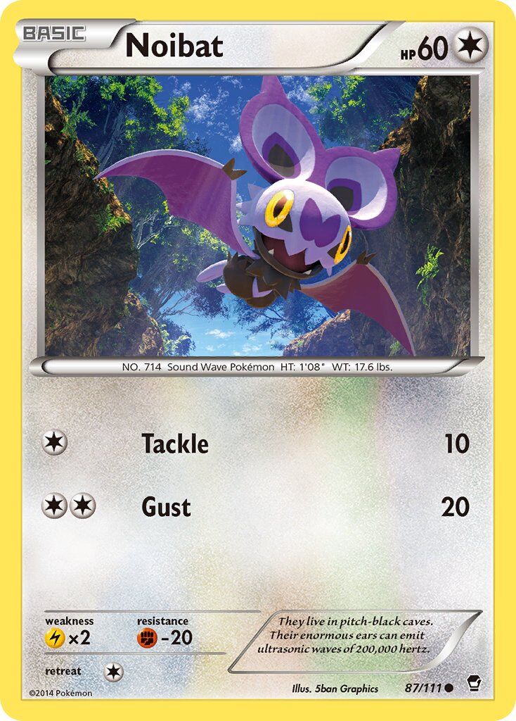 Noibat - 87/111 - EN