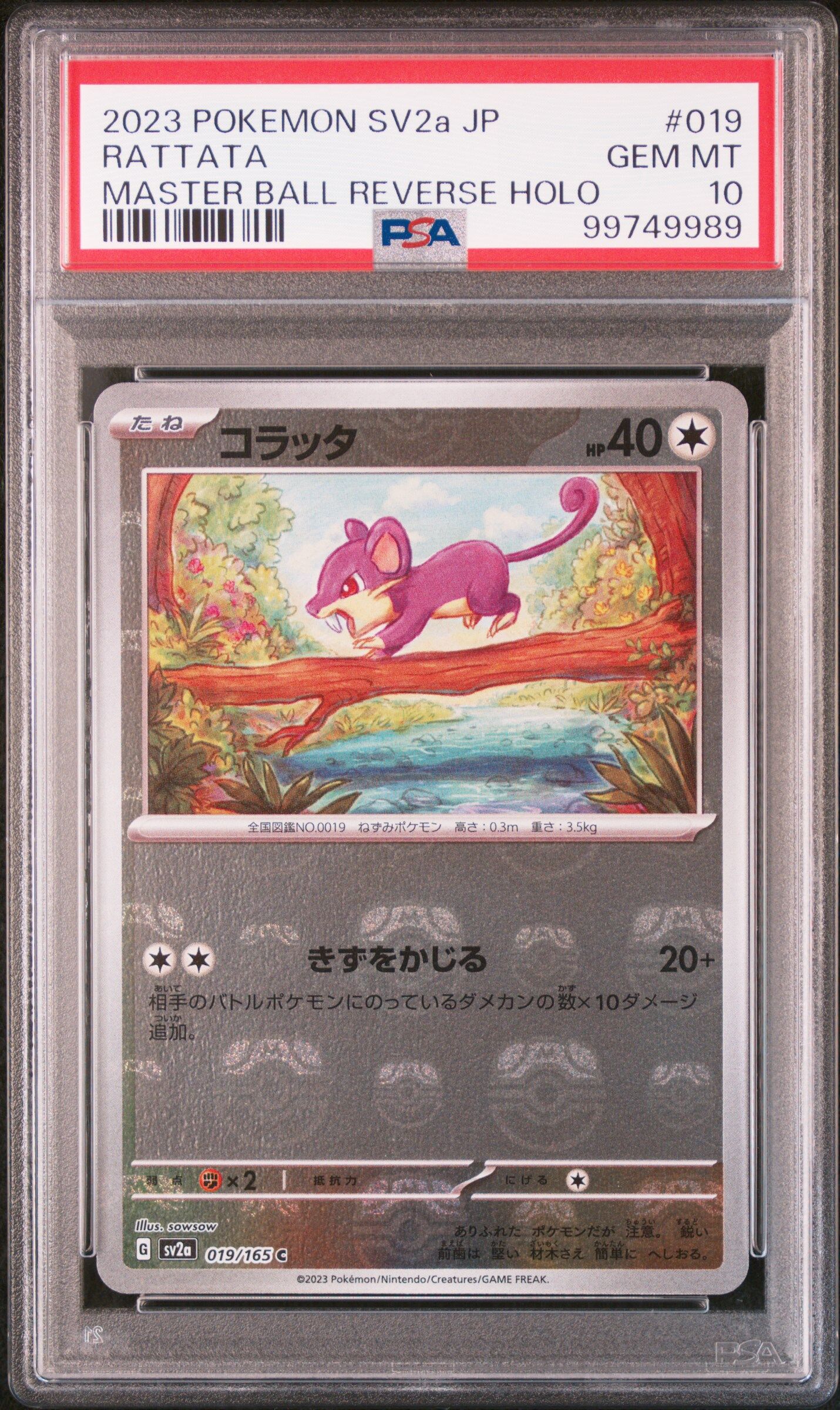 2023 POKEMON JAPANESE SV2A-POKEMON 151 #019 RATTATA MASTER BALL REVERSE HOLO - PSA 10 GEM-MT - Pokémon 2023 POKEMON JAPANESE SV2A-POKEMON 151 #019 RATTATA MASTER BALL REVERSE HOLO - PSA 10 GEM-MT - Pokémon